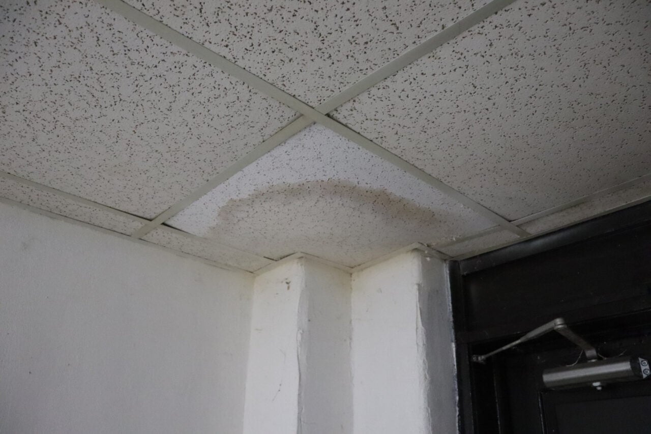 Image for the article: In a Hotter, Wetter South, Mold Is Emerging as a Public Health Crisis