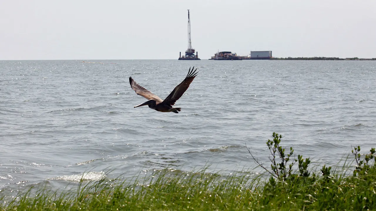 Image for the article: Texas firm hit with a record $9.6 million fine after a Gulf of Mexico oil spill