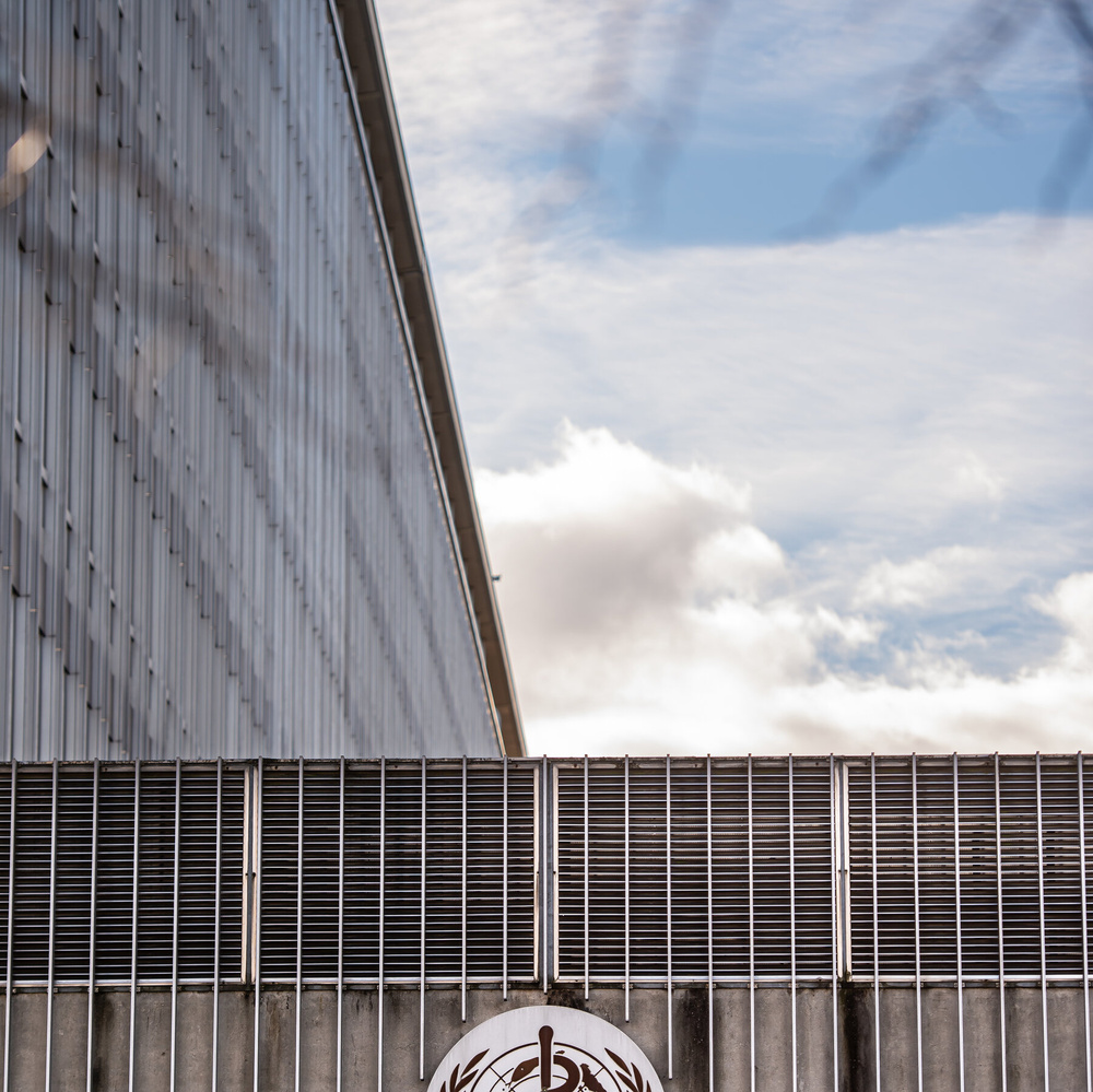 Изображение к статье: Нью-Йорк сотрудничает с ВОЗ, пока США выходят из глобальных усилий