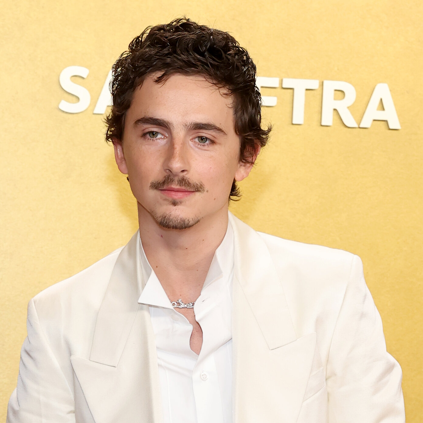 Изображение к статье: Премия Гильдии киноактеров 2026: Фотографии нарядов звезд с красной дорожки