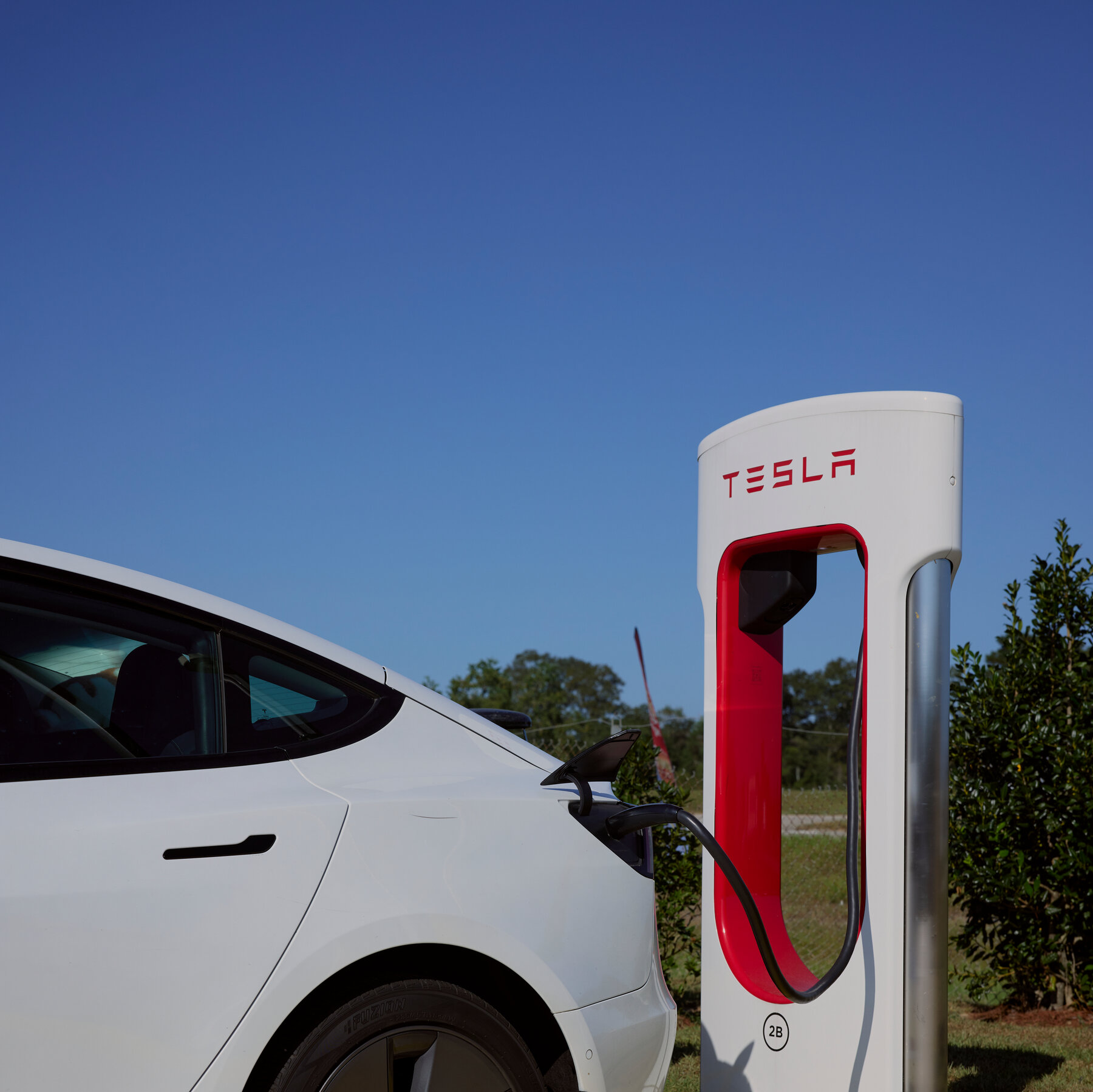 기사 이미지: 테슬라 수익 하락, 하지만 투자자들은 신경 쓰지 않을 수도 있습니다