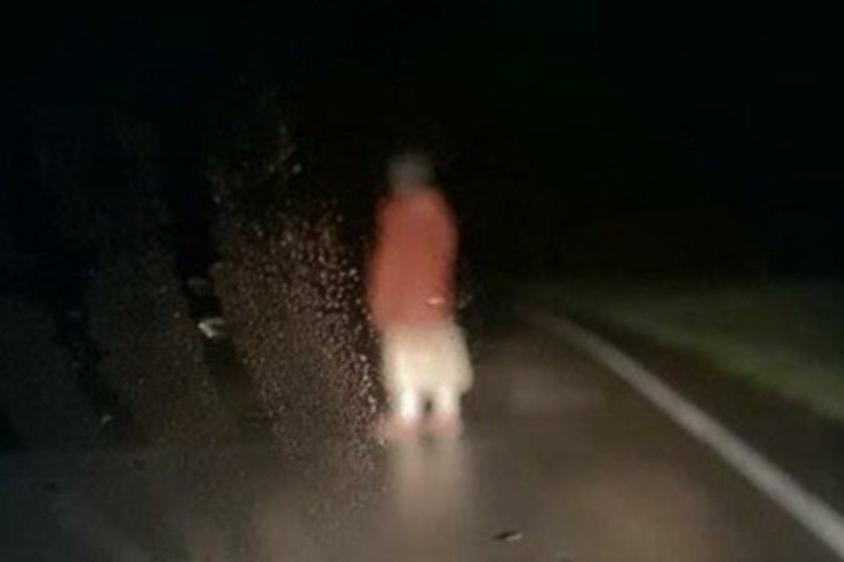 Image for the article: Dashcam: ‘Unhinged’ found footage film being called ‘most polarising horror in years’ gets trailer
