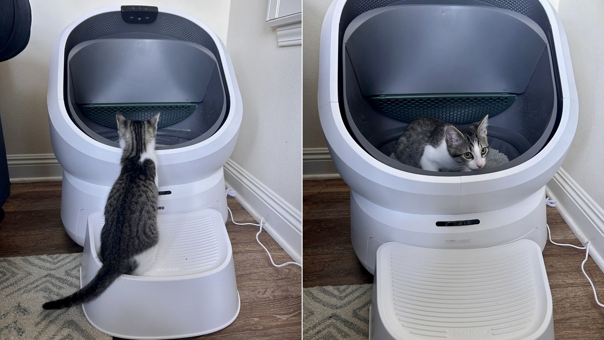 文章配图： Petlibros Luma 猫砂盆是一款中端价位、备受期待的 Litter-Robot 平替产品。