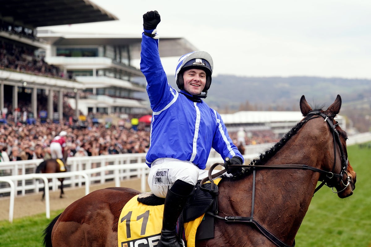 Image for the article: What is a handicap? A brief guide to horseracing jargon for Cheltenham Festival