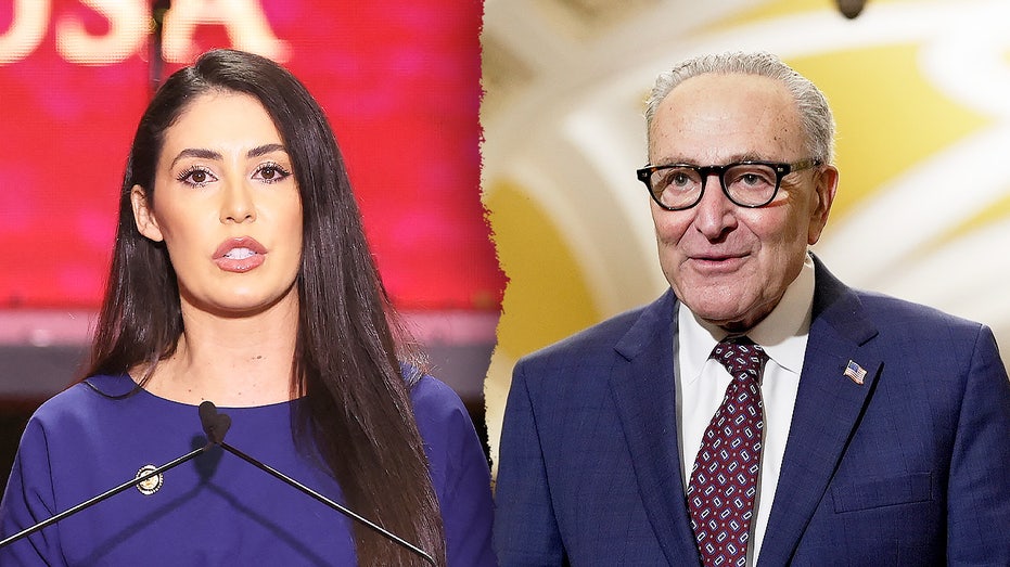 Image for the article: House conservatives threaten extended shutdown over election integrity measure