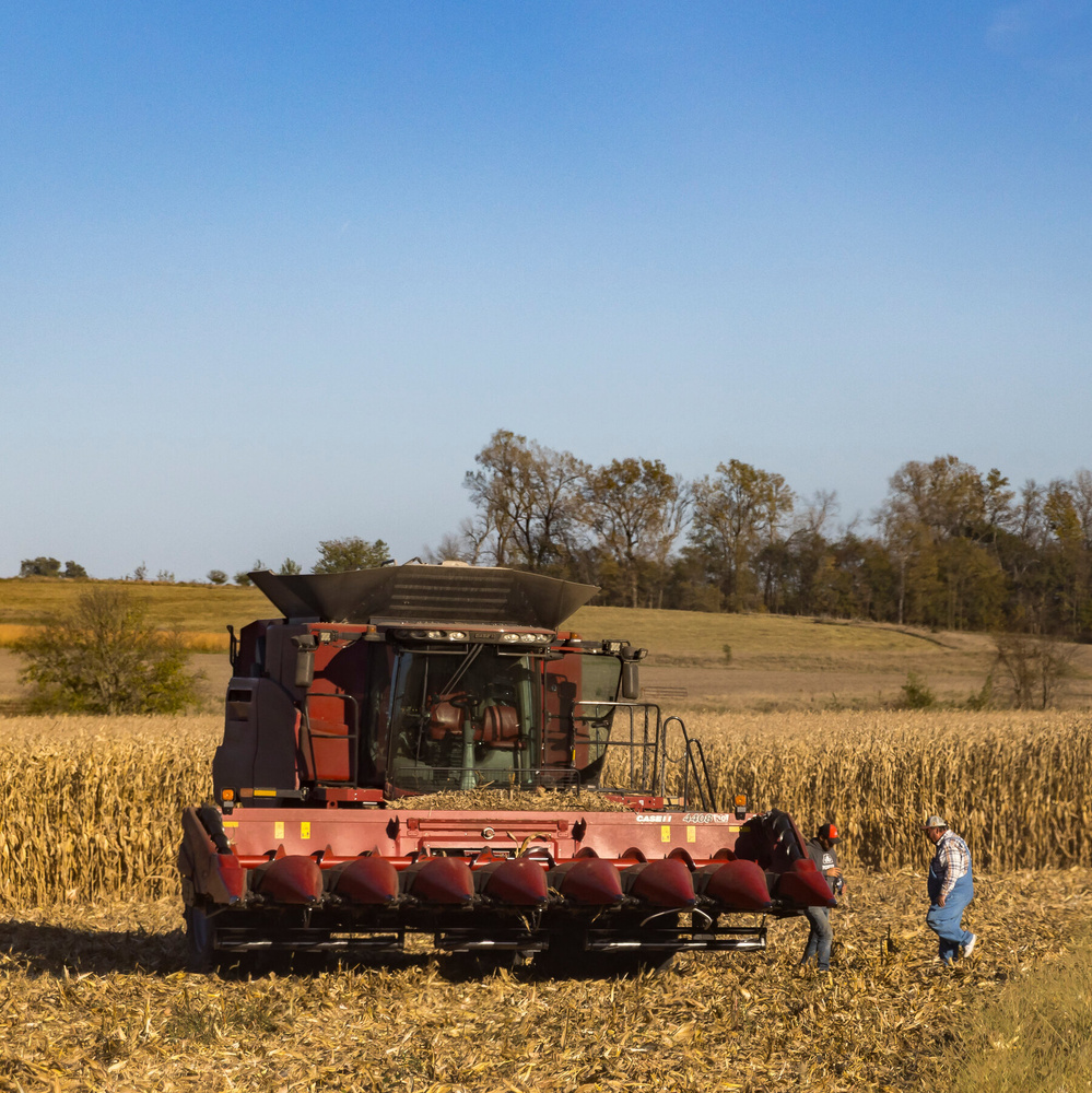 Image for the article: Former Farming Leaders Warn U.S. Agriculture Could Face ‘Widespread Collapse’