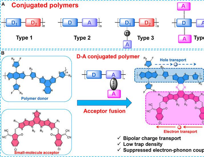 記事の画像： 高効率有機太陽電池のためのドナー・アクセプター一体型ポリマー | Science Advances