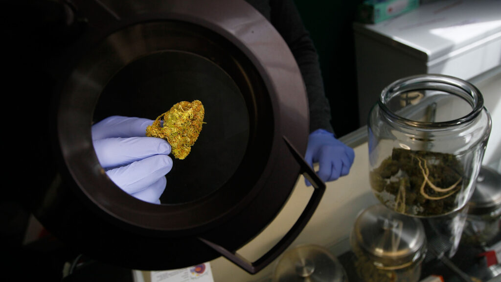 Image for the article: Opinion: States fail to require adequate cannabis product safety warnings