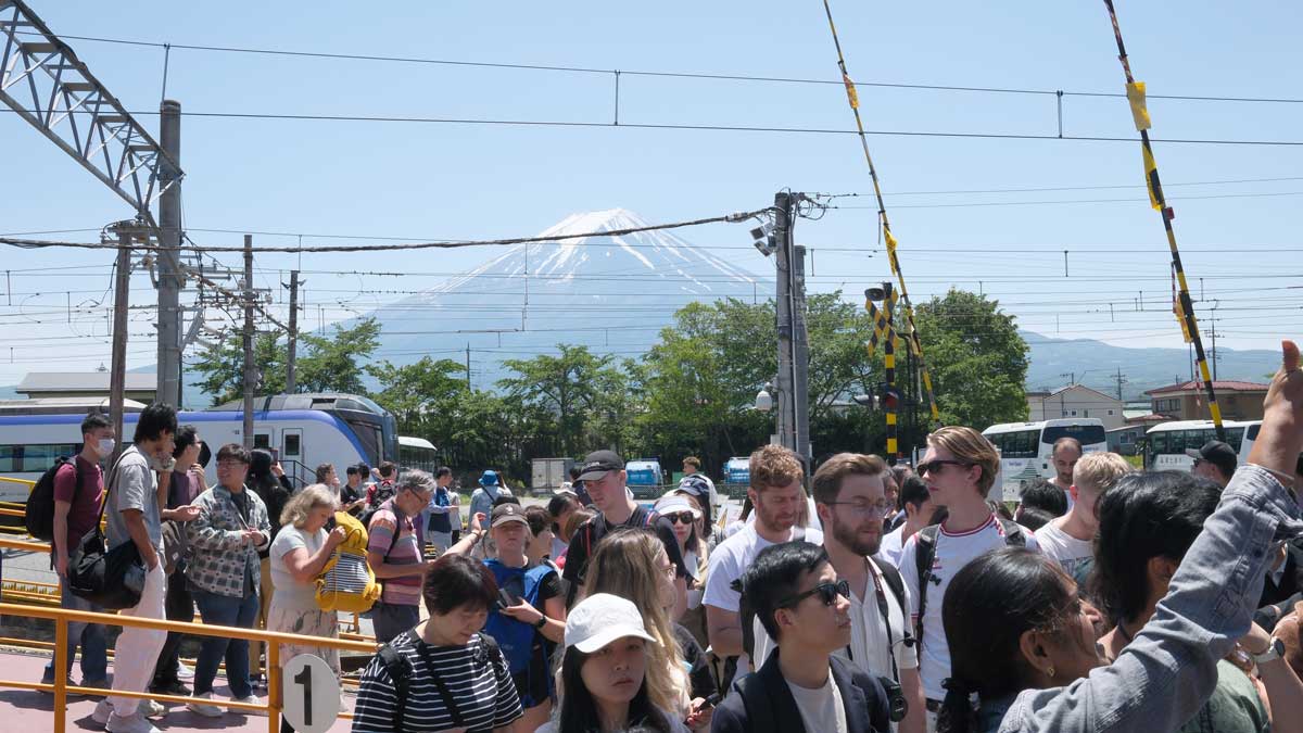 Image for the article: Japanese town cancels cherry blossom festival after tourists defecate in residents' gardens