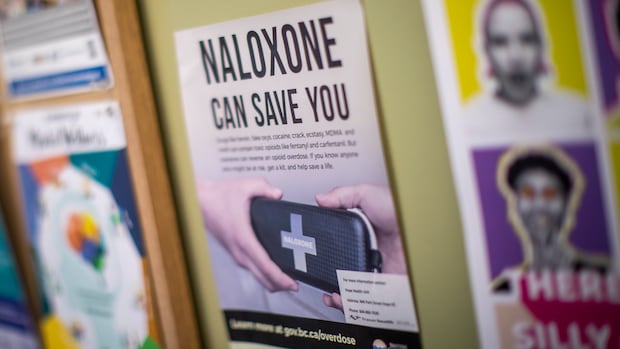 Image for the article: Why were toxic drug deaths in B.C. down 21% in 2025?