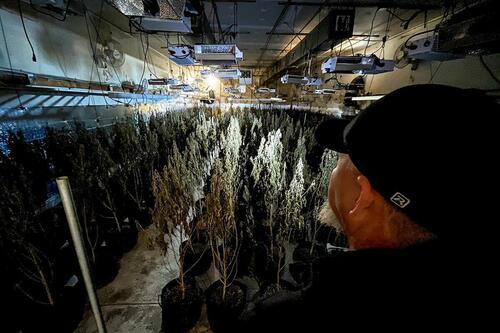 文章配图： 51 人因涉嫌在俄克拉荷马州从事大麻种植而被起诉，其中包括中国公民。