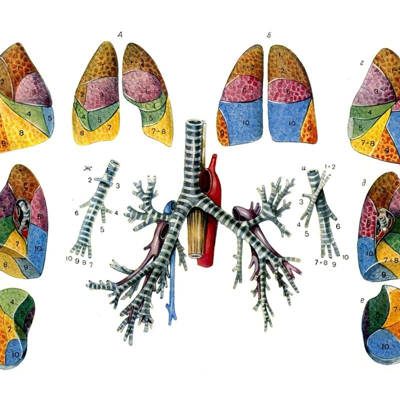 Image for the article: Breath