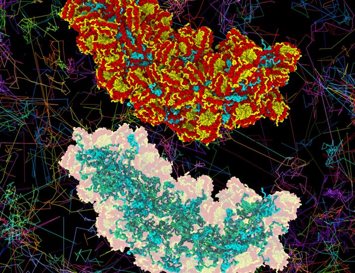 Image for the article: Linker histone H1 functions as a liquid-like glue to organize chromatin in living human cells | Science Advances