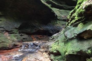 기사 이미지: 인디애나주 마샬의 록키 할로우–폴스 캐년