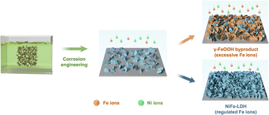 Image for the article: A key descriptor for corrosion engineering of NiFe-LDH: unlocking peak performance by managing Fe-ion concentration