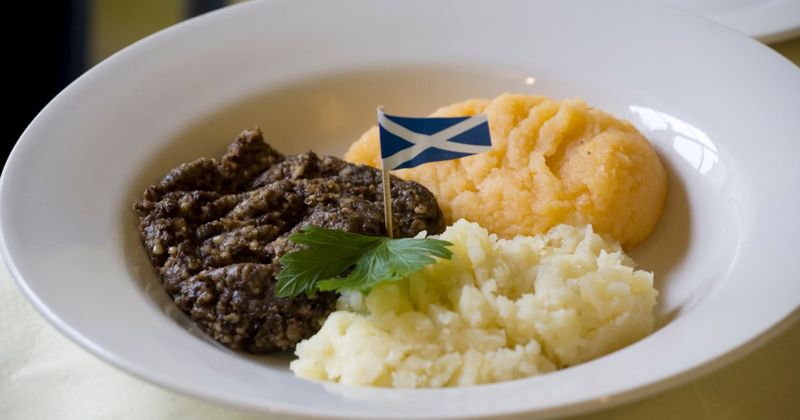 기사 이미지: 번즈 나이트 메뉴가 시간이 지나면서 어떻게 진화해 왔는가