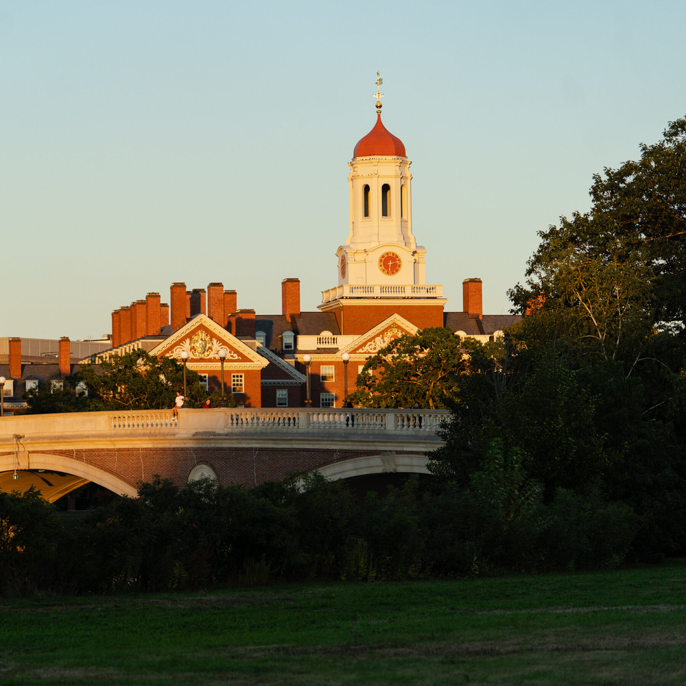 Изображение к статье: Трамп, меняя курс, ввергает переговоры с Гарвардом в хаос