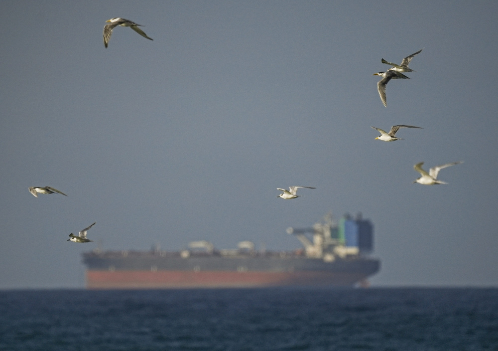 Image for the article: Hormuz shipping is barely moving, despite the US-Iran ceasefire