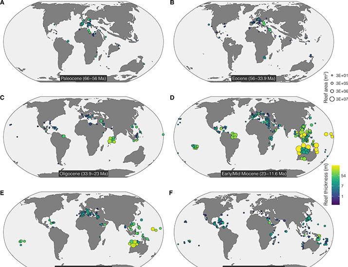 文章配图： 《世界最大海洋生物多样性热点的兴衰 | Science Advances》