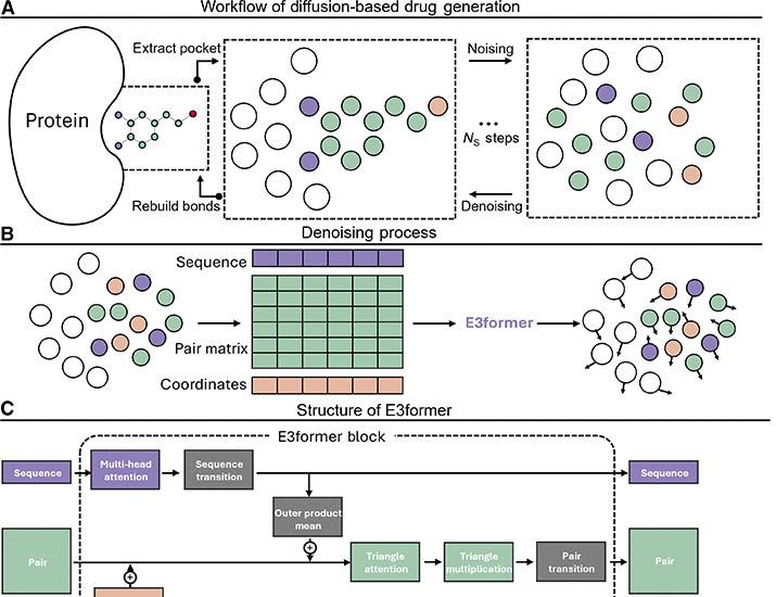 Image for the article: A diffusion-based framework for designing molecules in flexible protein pockets | Science Advances