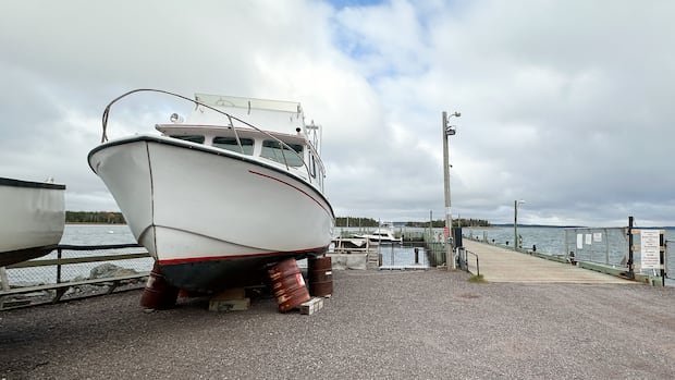 Image for the article: Toronto man found adrift in Atlantic Ocean pleads guilty to stealing boat