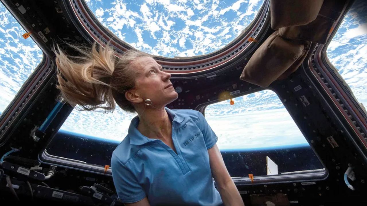 Image for the article: Get ready for out of this world selfies - NASA says astronauts can now take their own phones with them to space