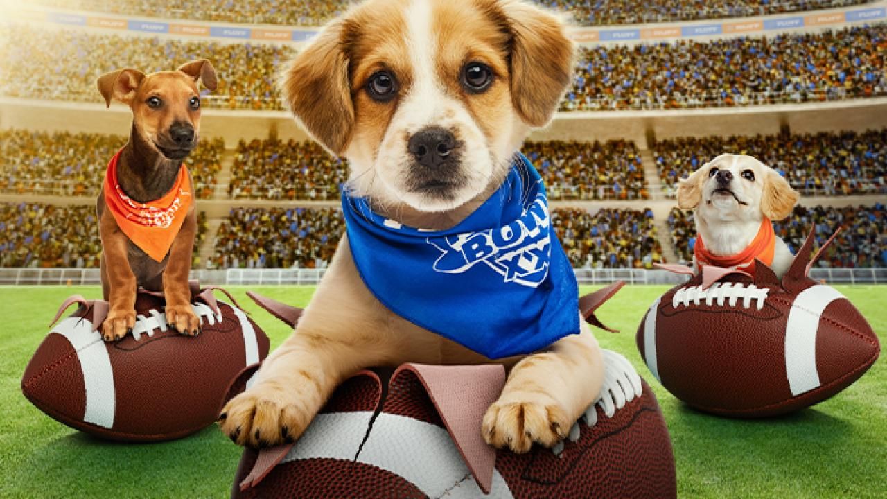 Image for the article: How to watch Puppy Bowl 2026 online and stream from anywhere — date, TV channels, Super Bowl for dogs