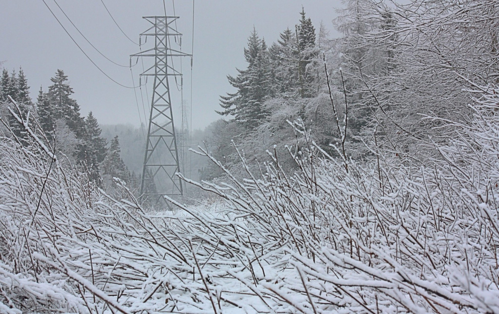 Изображение к статье: Более миллиона человек остаются без электричества во время ледяной снежной бури, в то время как расположенные неподалеку центры обработки данных потребляют электроэнергию.
