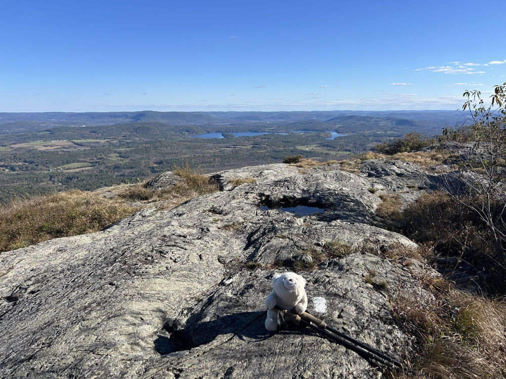 Изображение к статье: Статистика опросов: вероятностные выборки против выборок EPSEM против выборок SRS