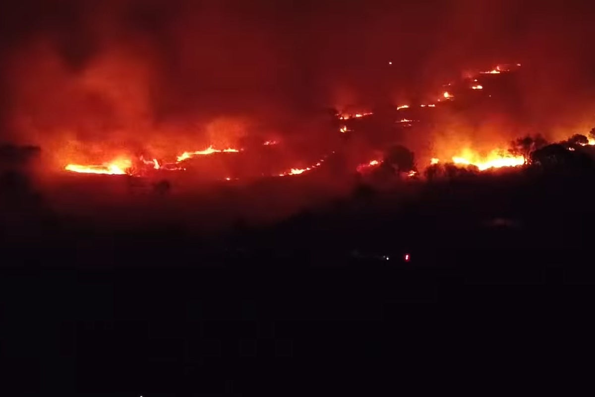 Image for the article: Fire crew dealt with almost 27,000 wildfires this year amid summer heatwaves