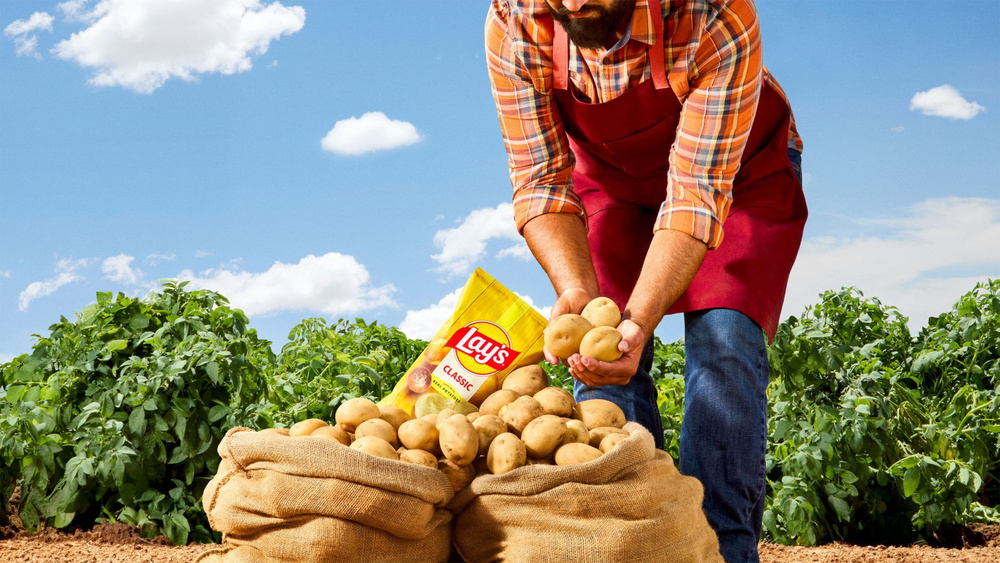 Image for the article: Lay’s drastically rebrands after disturbing finding: 42% of consumers didn’t know their chips were made out of potatoes