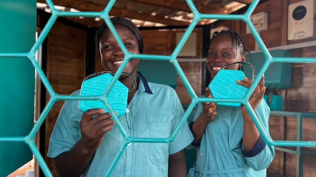Image for the article: Canadian solar firms bring power to rural Africa using creative solutions
