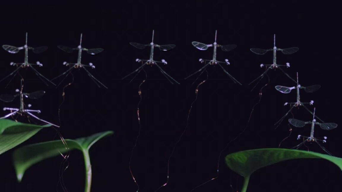 Bild zum Artikel: RoboBee landet sicher