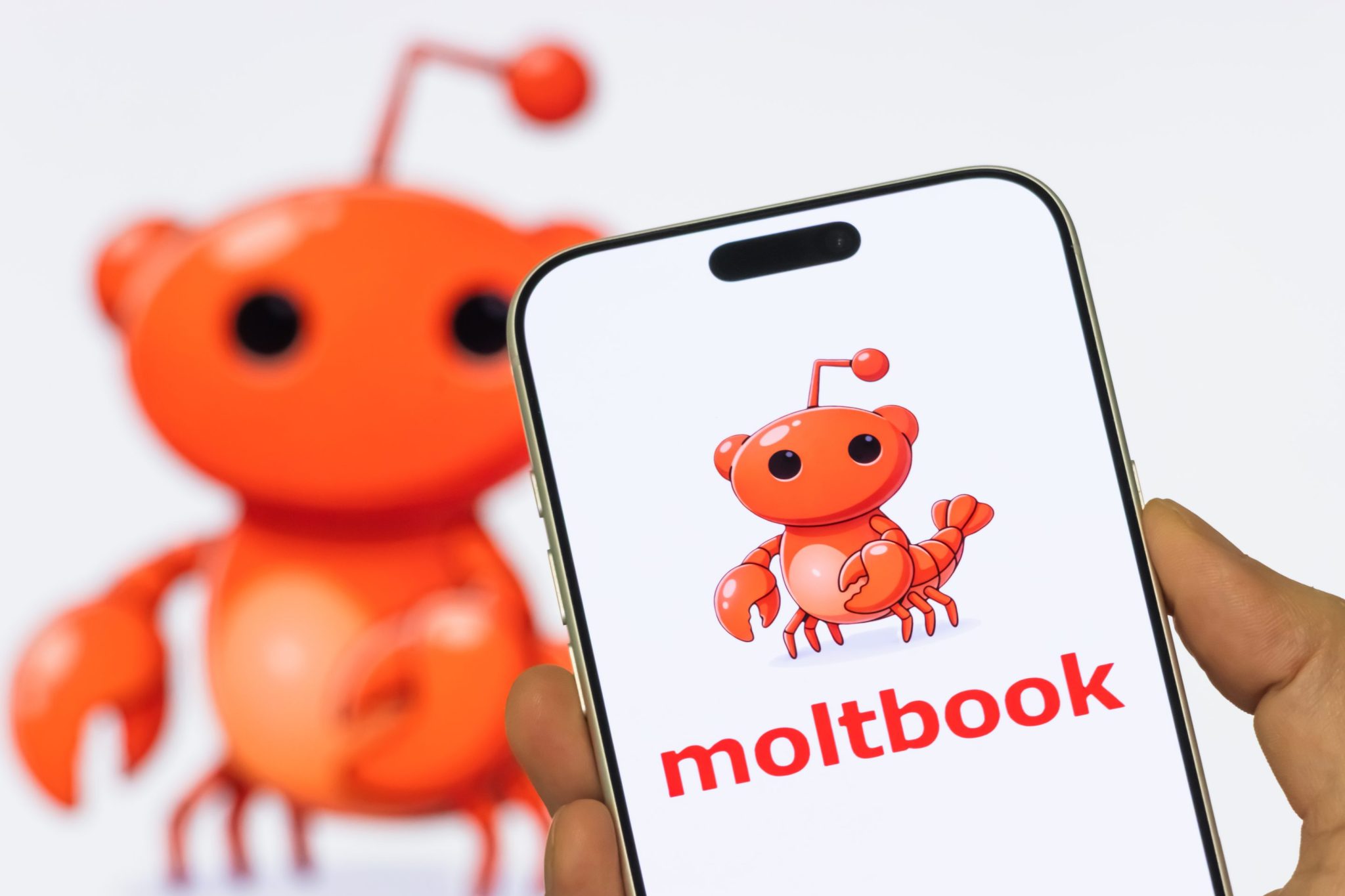 Image for the article: Moltbook is scary—but not for the reasons so many headlines said