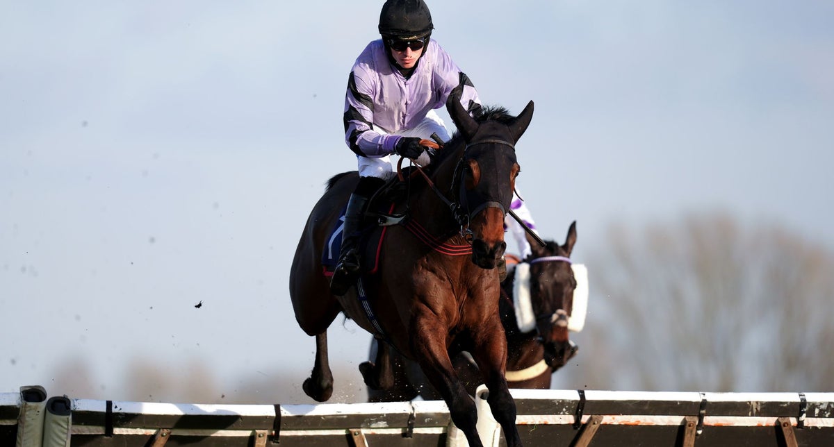 Image for the article: Today’s racing tips: Best bets and odds from Doncaster and Warwick