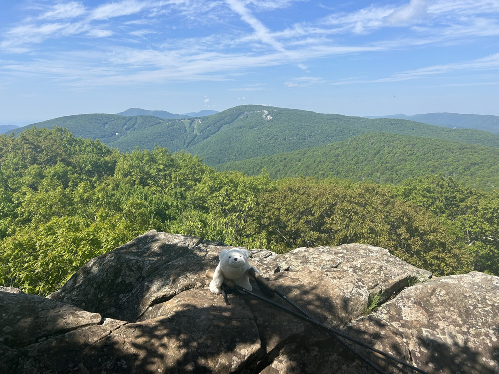 Image for the article: Survey Statistics: 5 flavors of calibration