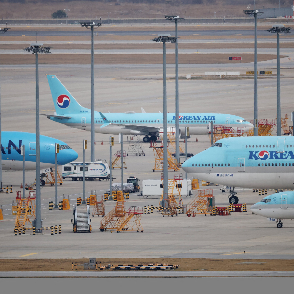 文章配图： 大韩航空禁止在美菲航线上携带公鸡