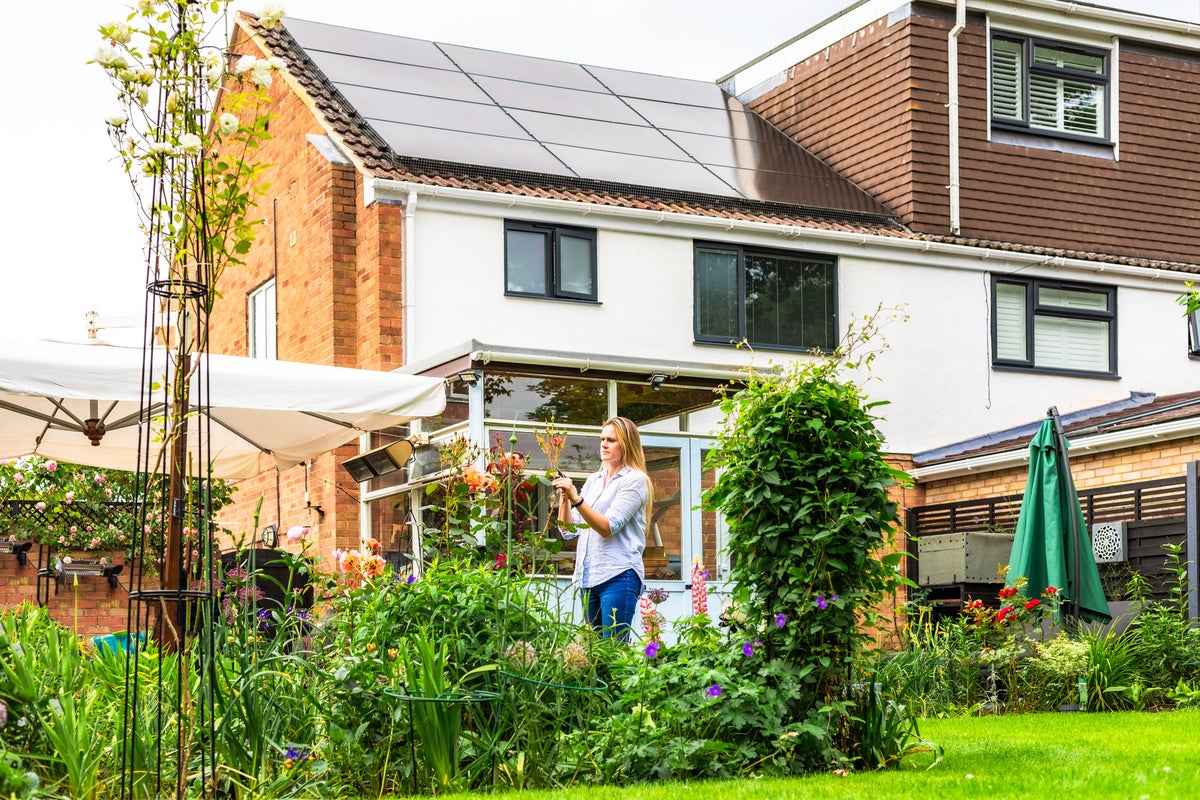 Image for the article: ‘Our energy bills have effectively disappeared’: What really happened when one family installed solar panels