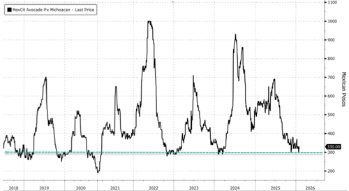 Image for the article: Guac Relief: Avocado Prices Tumble Ahead Of Super Bowl