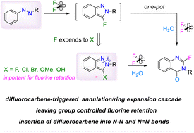 Image for the article: A difluorocarbene-triggered annulation/ring expansion cascade via sequential single-atom-insertions: direct assembly of 2-fluoroquinazolinones from azo compounds