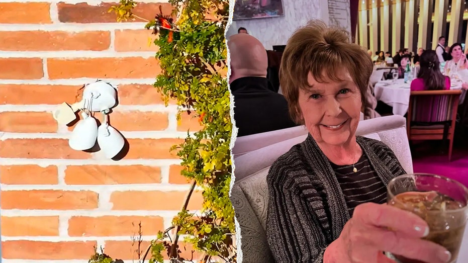 Image for the article: Nancy Guthrie's house equipped with floodlights; authorities probe alleged ransom note clues