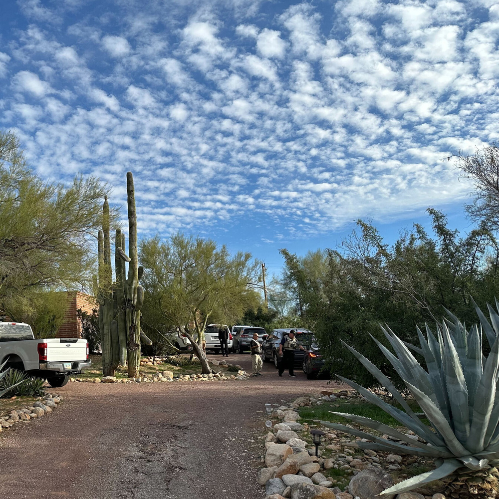 Image for the article: What to Know About the Disappearance of Savannah Guthrie’s Mom, Nancy