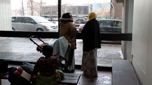 Image for the article: Trump targets Minnesota’s Somali community amid reports of targeted crackdown