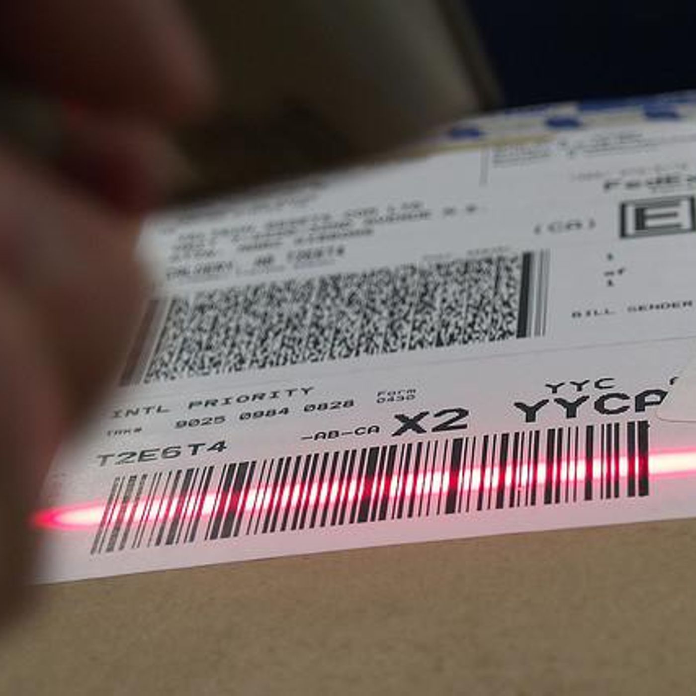 Image for the article: Brown Box