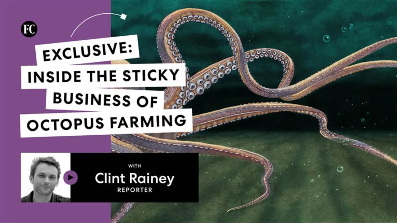 Изображение к статье: Октопус Прайм: Внутри растущей и спорной фермерской инициативы