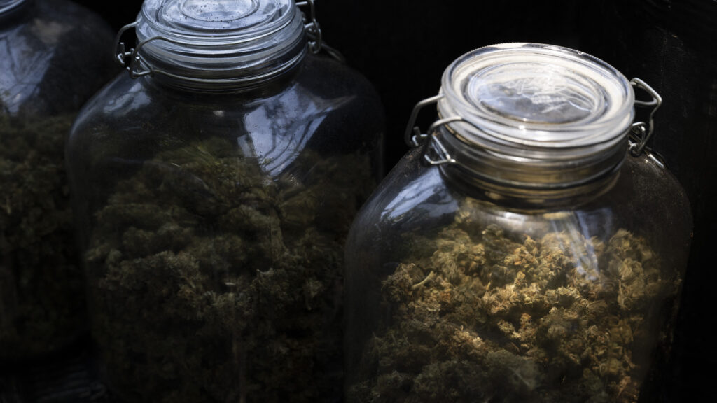 文章配图： 特朗普政府的药物战略与近期在资金和政策方面的行动相悖