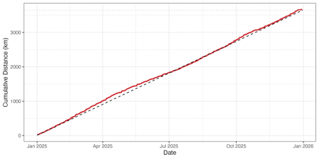 Image for the article: Running Around: 2025 running dataviz in R