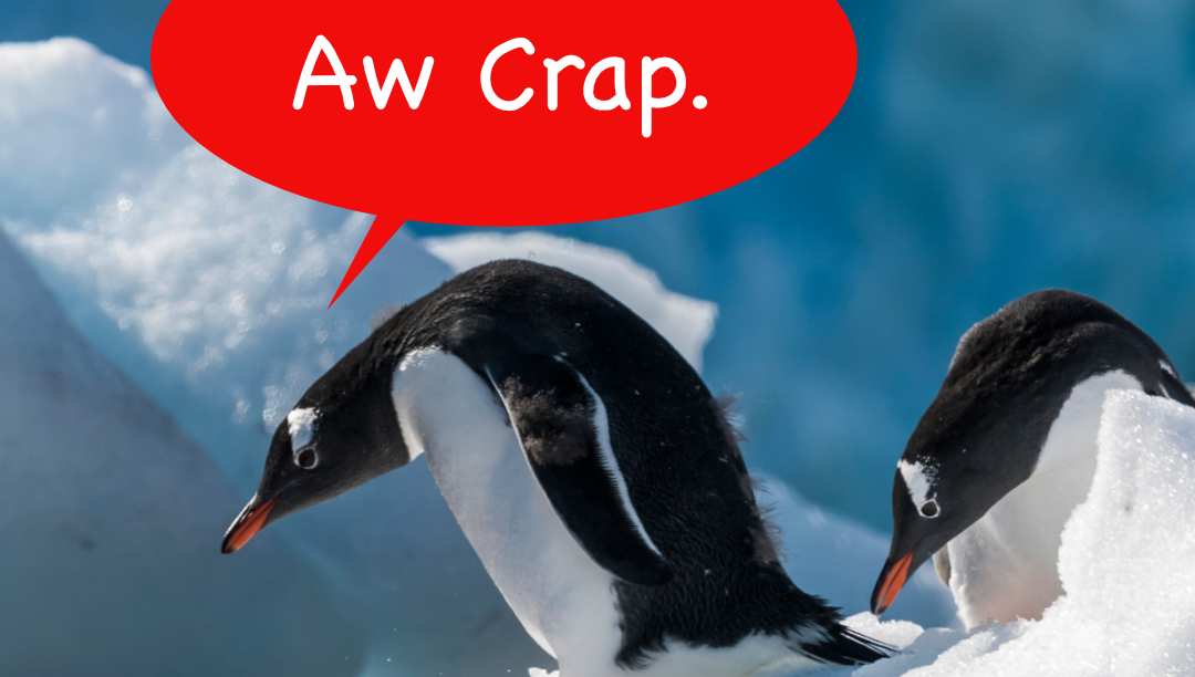 Image for the article: Sharks reach Antarctica as warming oceans expand their range