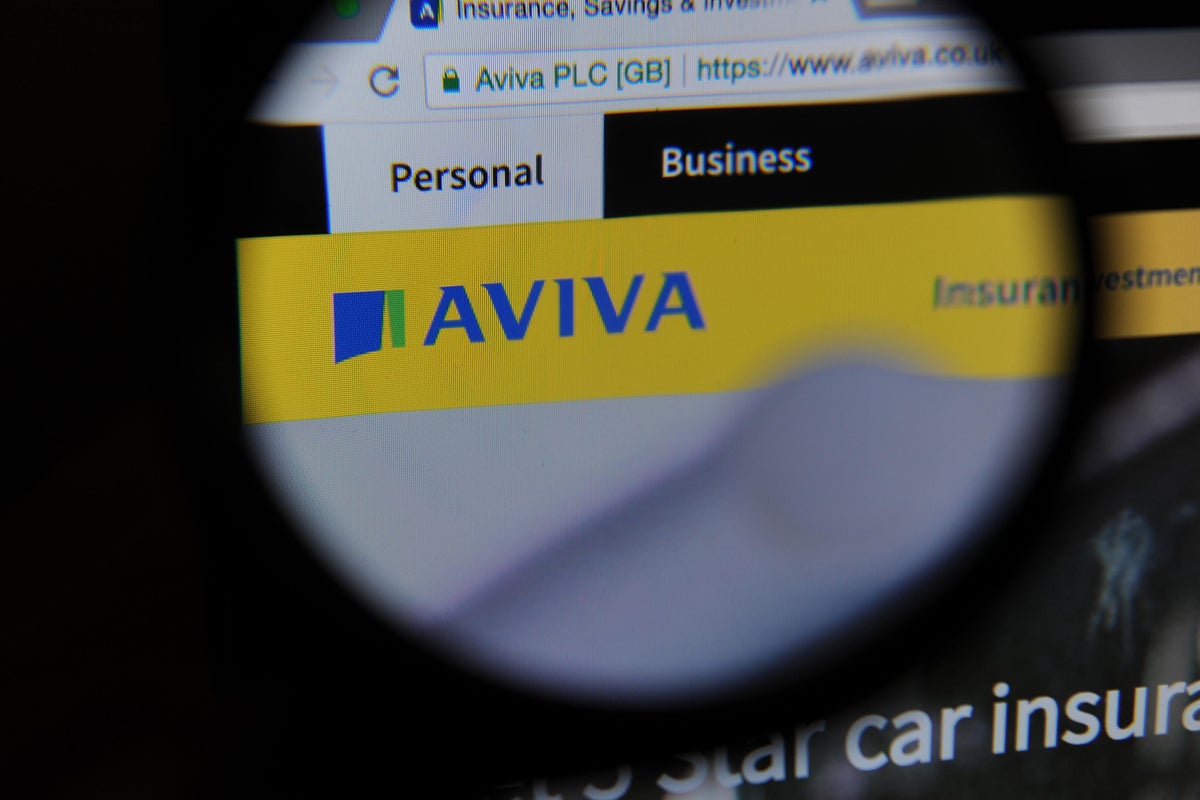 文章配图： 抗议者将矛头指向 Aviva，因股东大会面临干扰