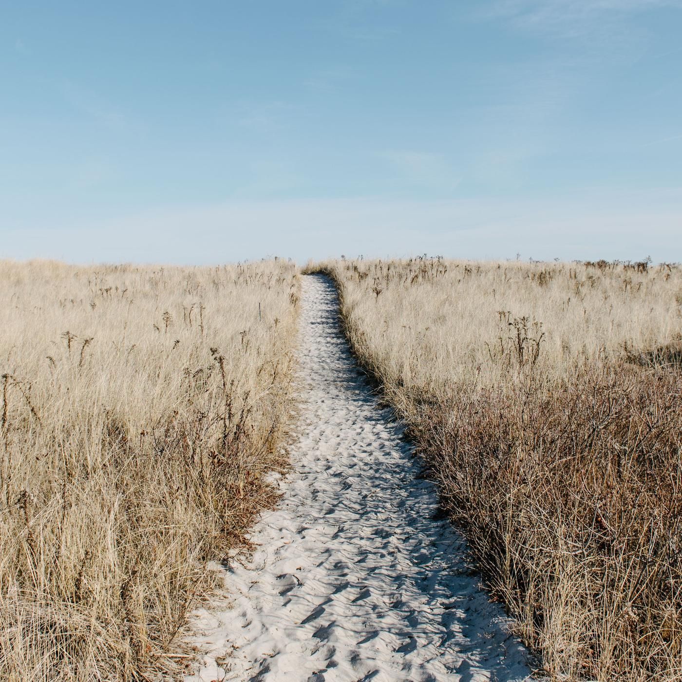 Image for the article: Escapescape